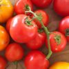 Seasonal tomatoes (Jo's roma tomatoes)
